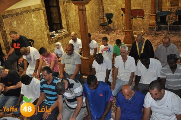 trawe7 mahmodiya 713 (8).JPG